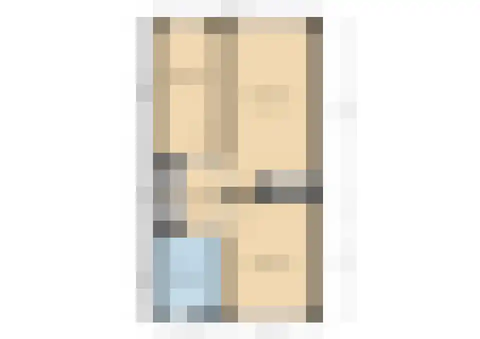 Koolmees 15 De Lier thumbnail 40