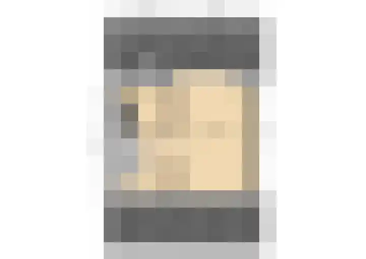 Koolmees 15 De Lier thumbnail 41