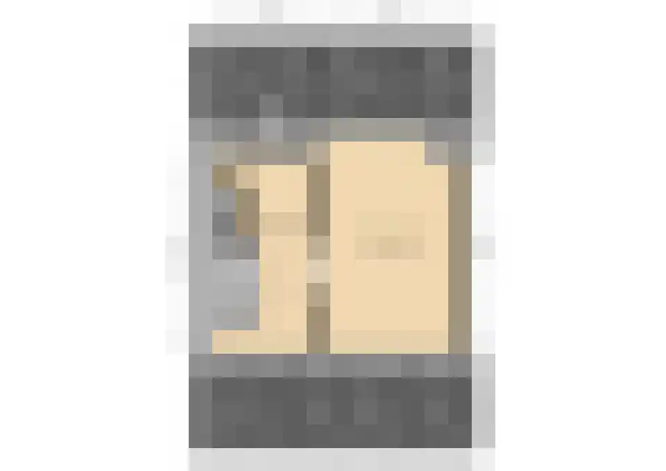 Koolmees 15 De Lier thumbnail 41