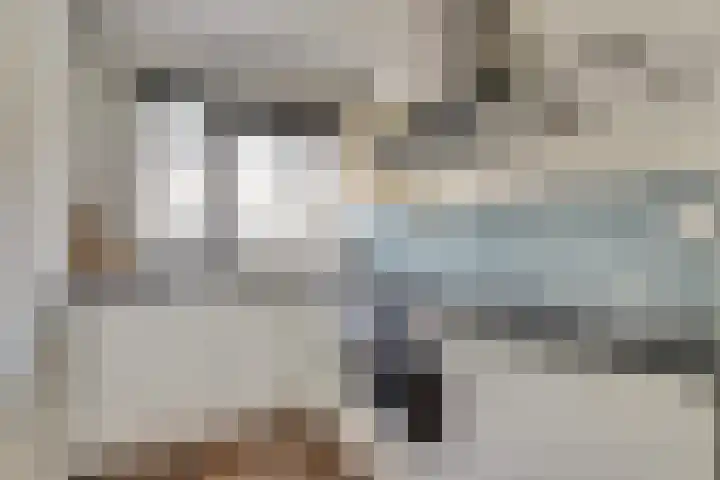 Koolmees 15 De Lier thumbnail 5
