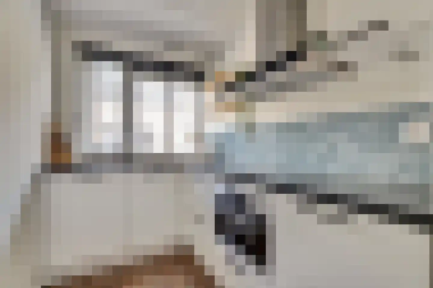 Koolmees 15 De Lier thumbnail 5