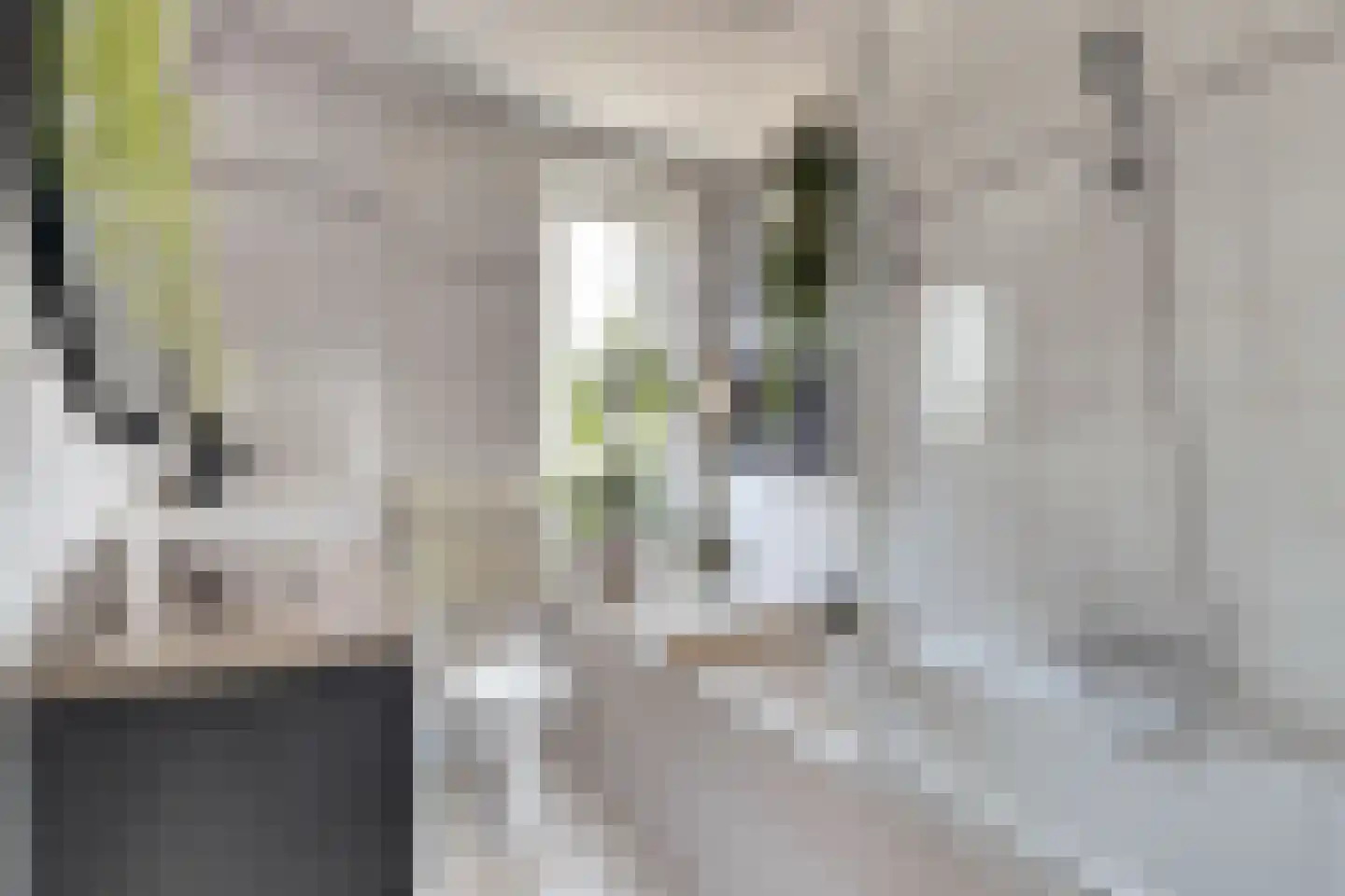 Koolmees 15 De Lier thumbnail 6
