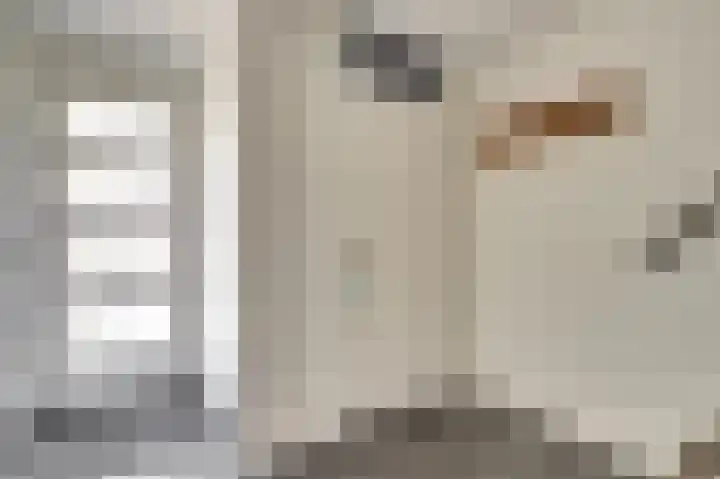 Koolmees 15 De Lier thumbnail 8