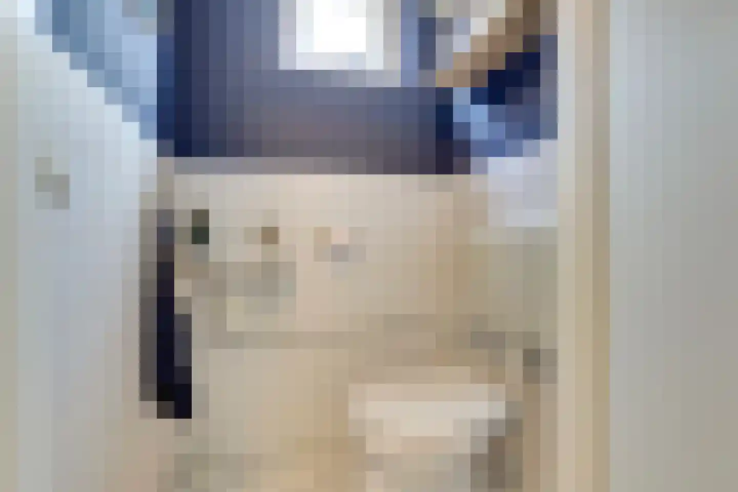 Koolmees 15 De Lier thumbnail 9