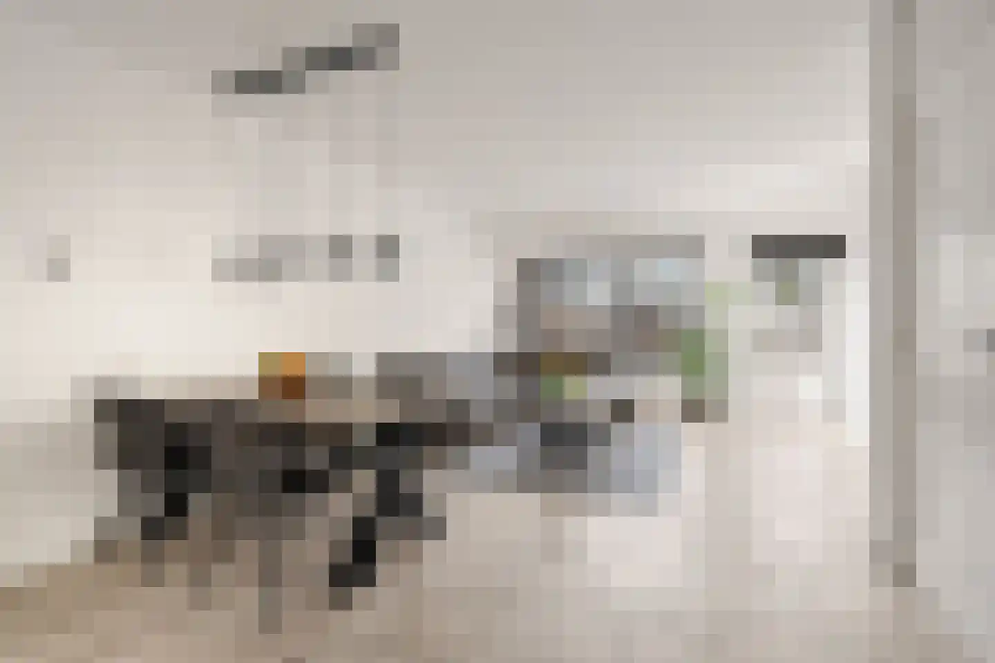 Koolmees 15 Nieuwegein thumbnail 10