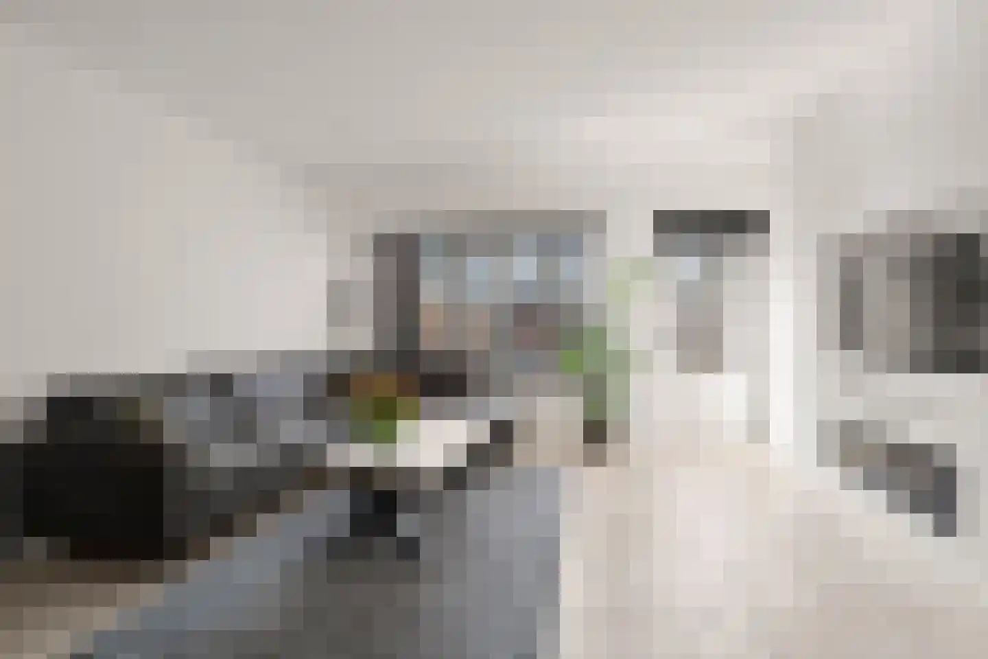 Koolmees 15 Nieuwegein thumbnail 13