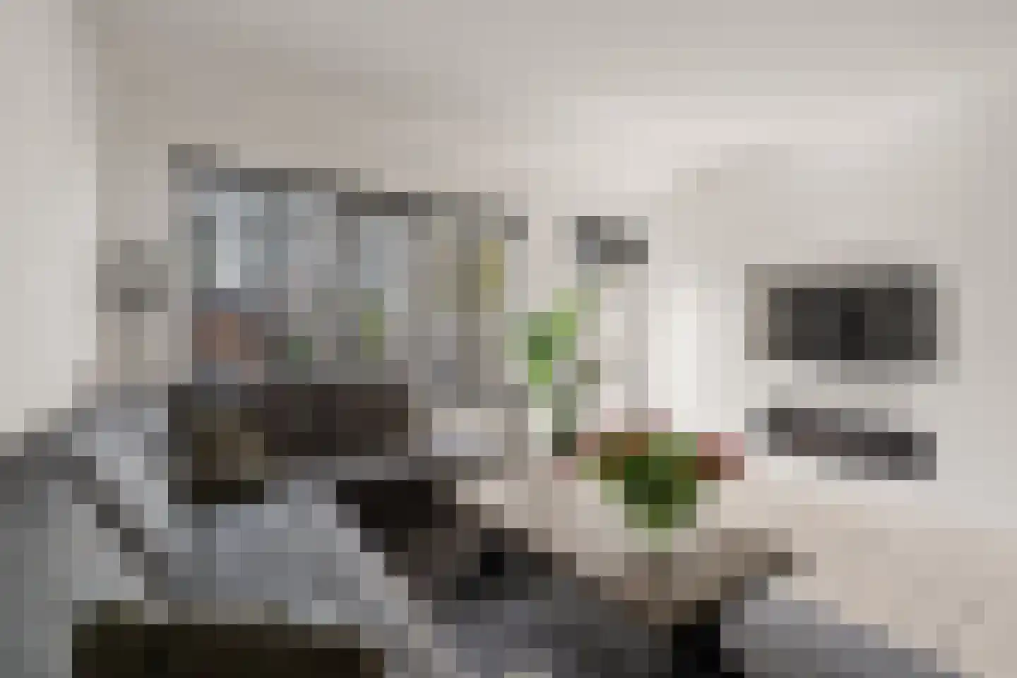 Koolmees 15 Nieuwegein thumbnail 14
