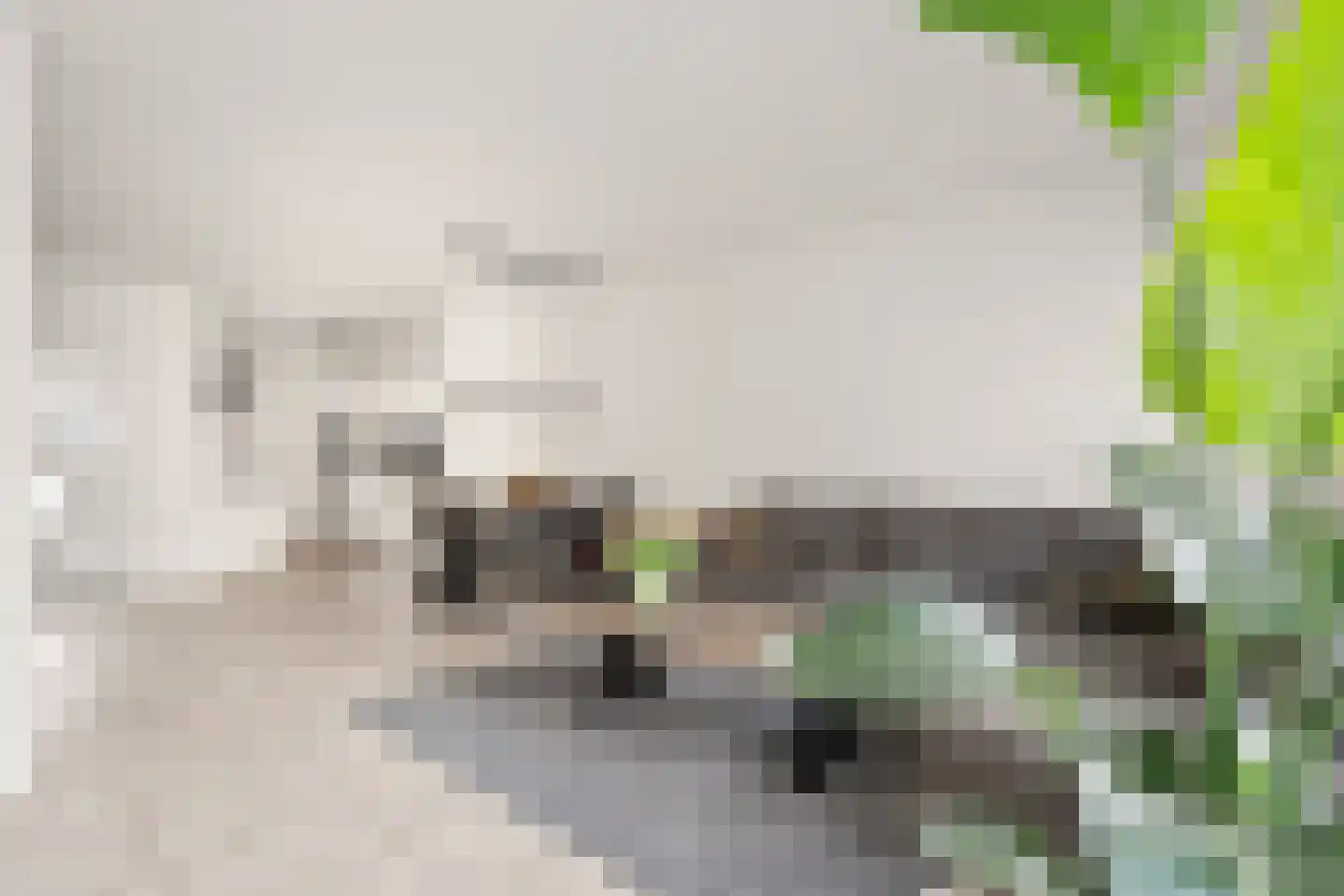 Koolmees 15 Nieuwegein thumbnail 16
