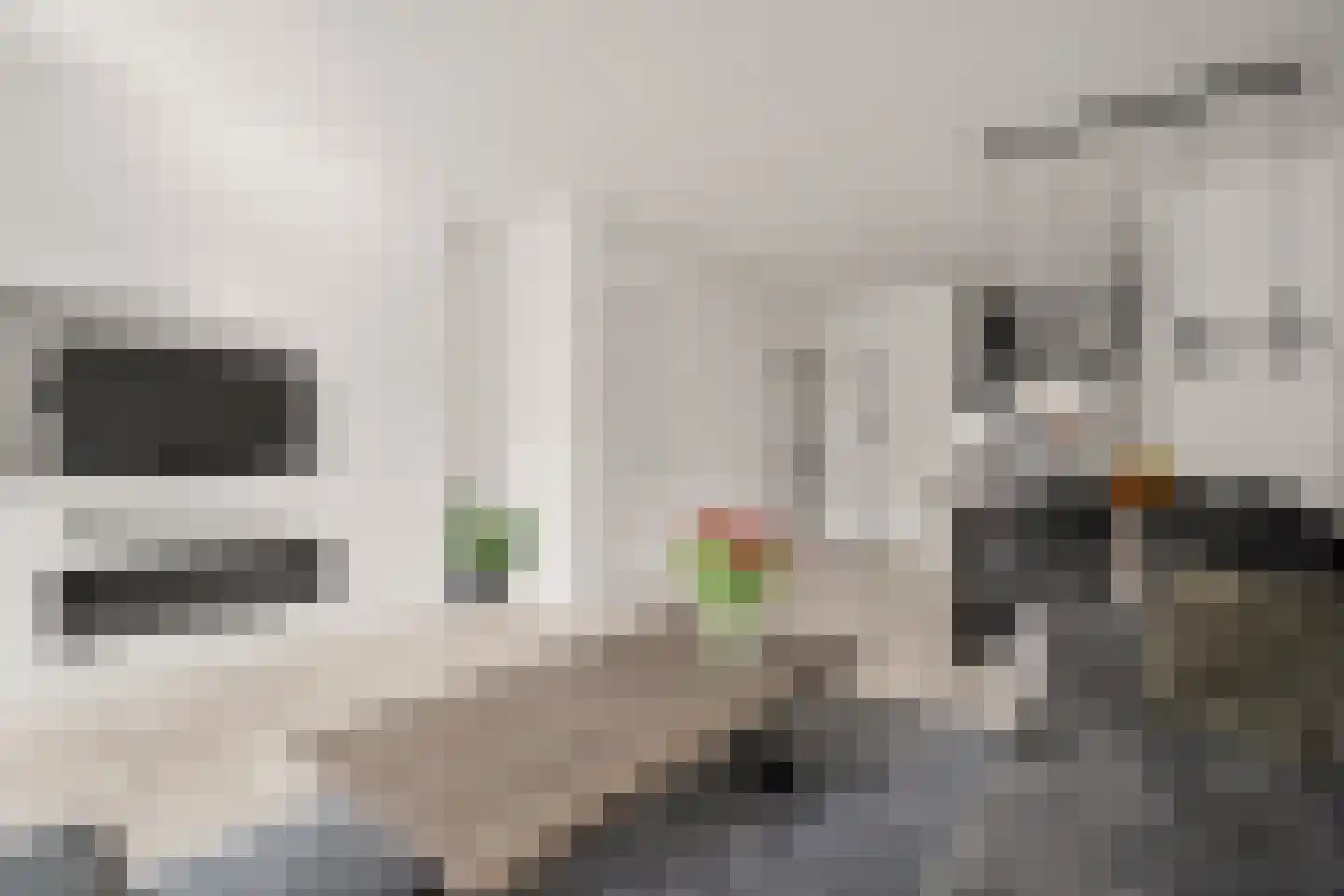 Koolmees 15 Nieuwegein thumbnail 18