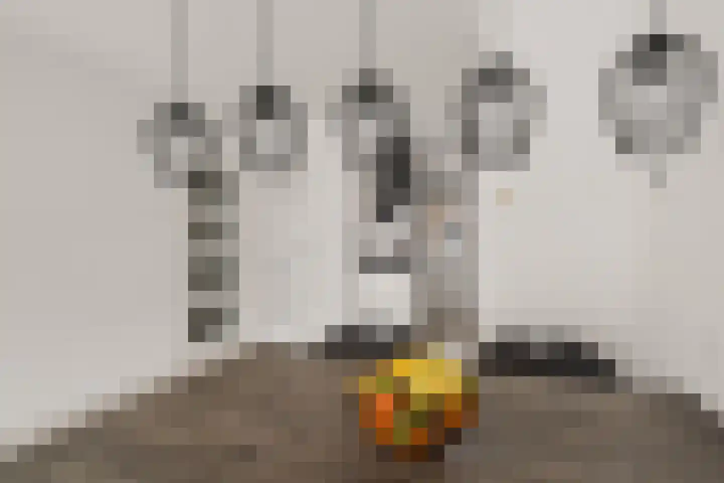 Koolmees 15 Nieuwegein thumbnail 21