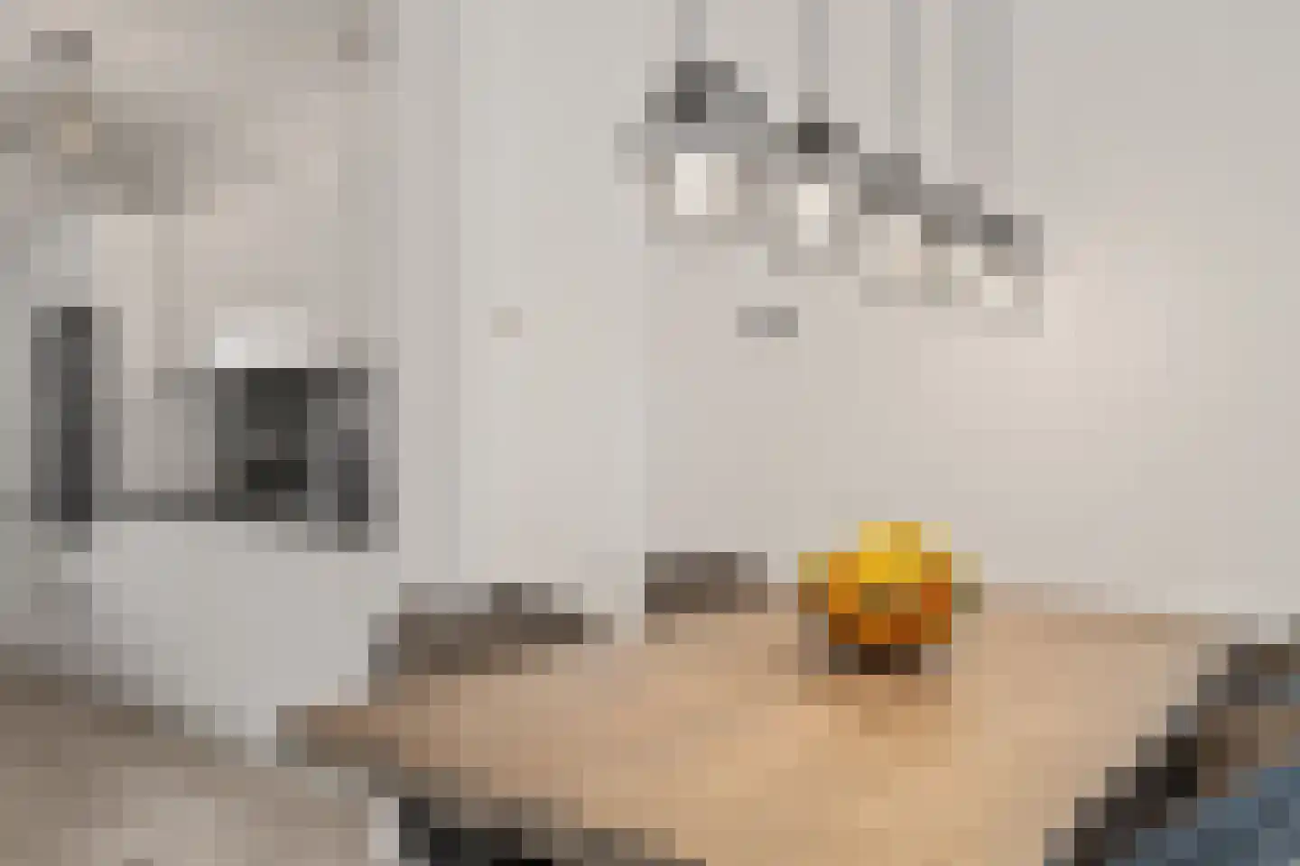 Koolmees 15 Nieuwegein thumbnail 22