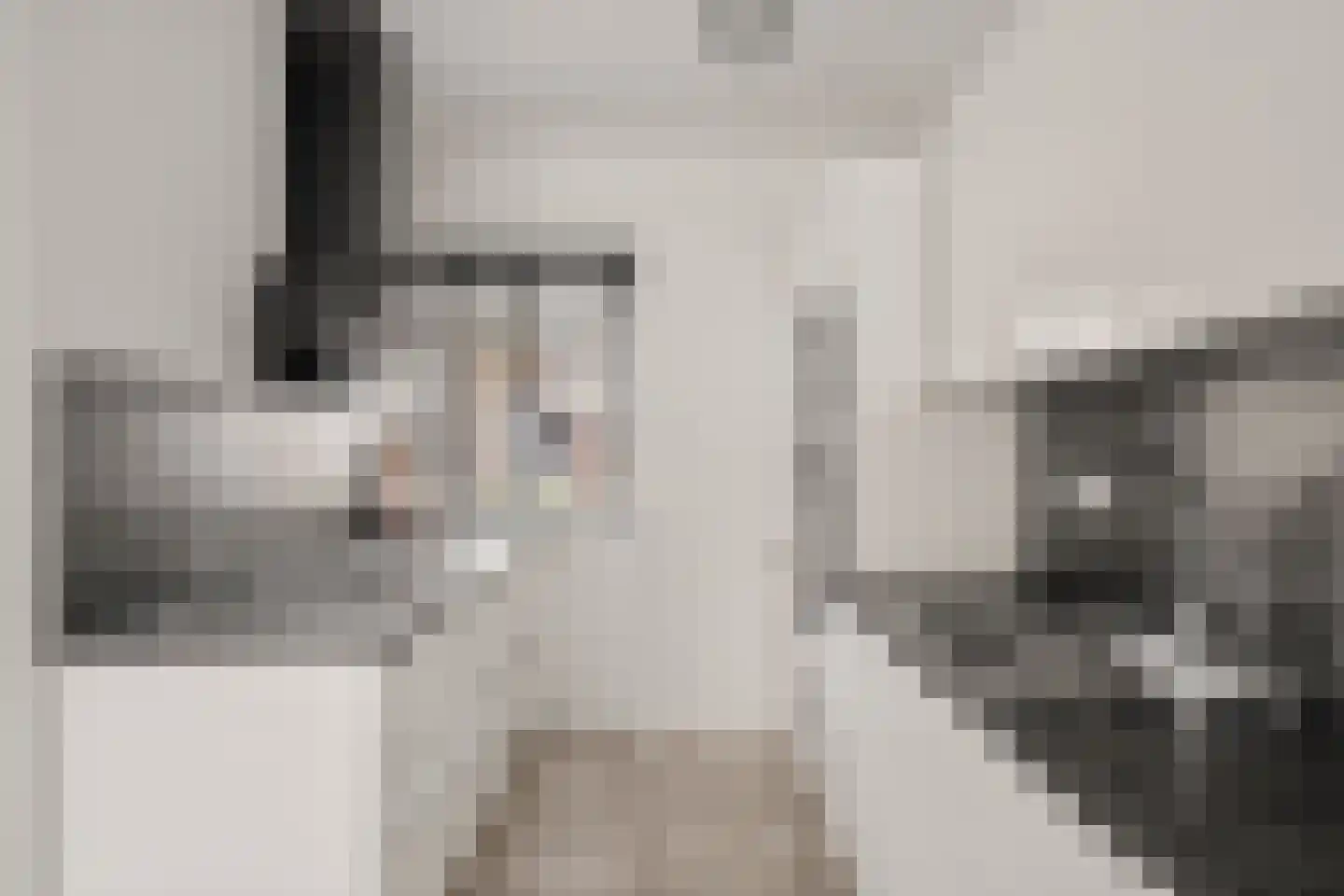 Koolmees 15 Nieuwegein thumbnail 25