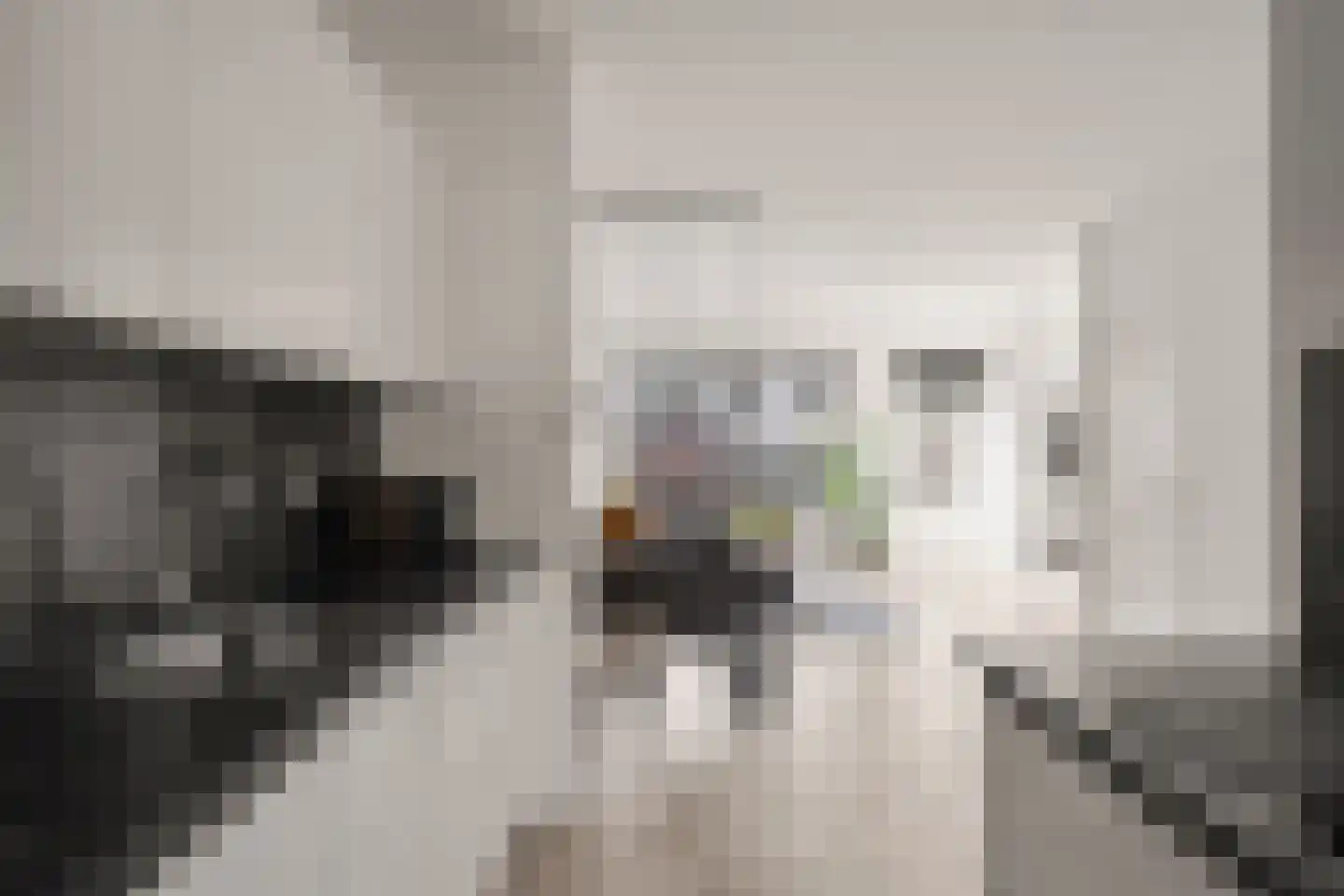 Koolmees 15 Nieuwegein thumbnail 27