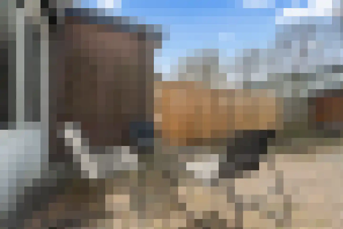 Koolmees 15 Nieuwegein thumbnail 29