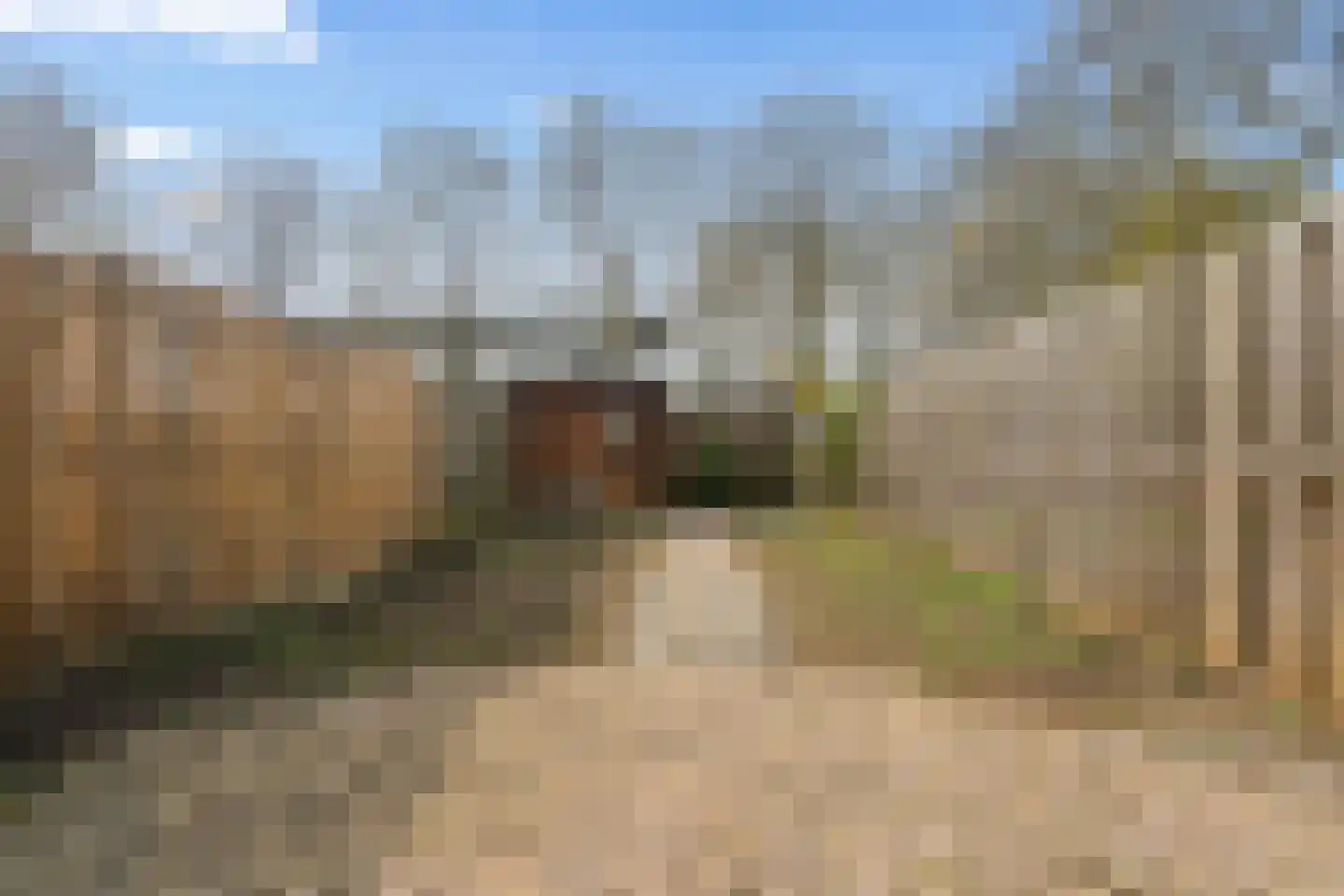 Koolmees 15 Nieuwegein thumbnail 30