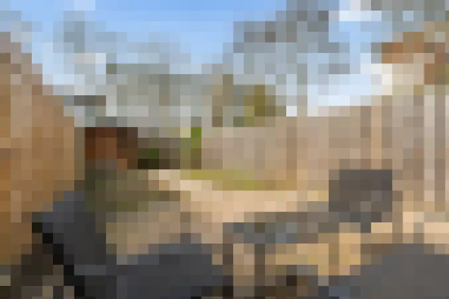Koolmees 15 Nieuwegein thumbnail 31