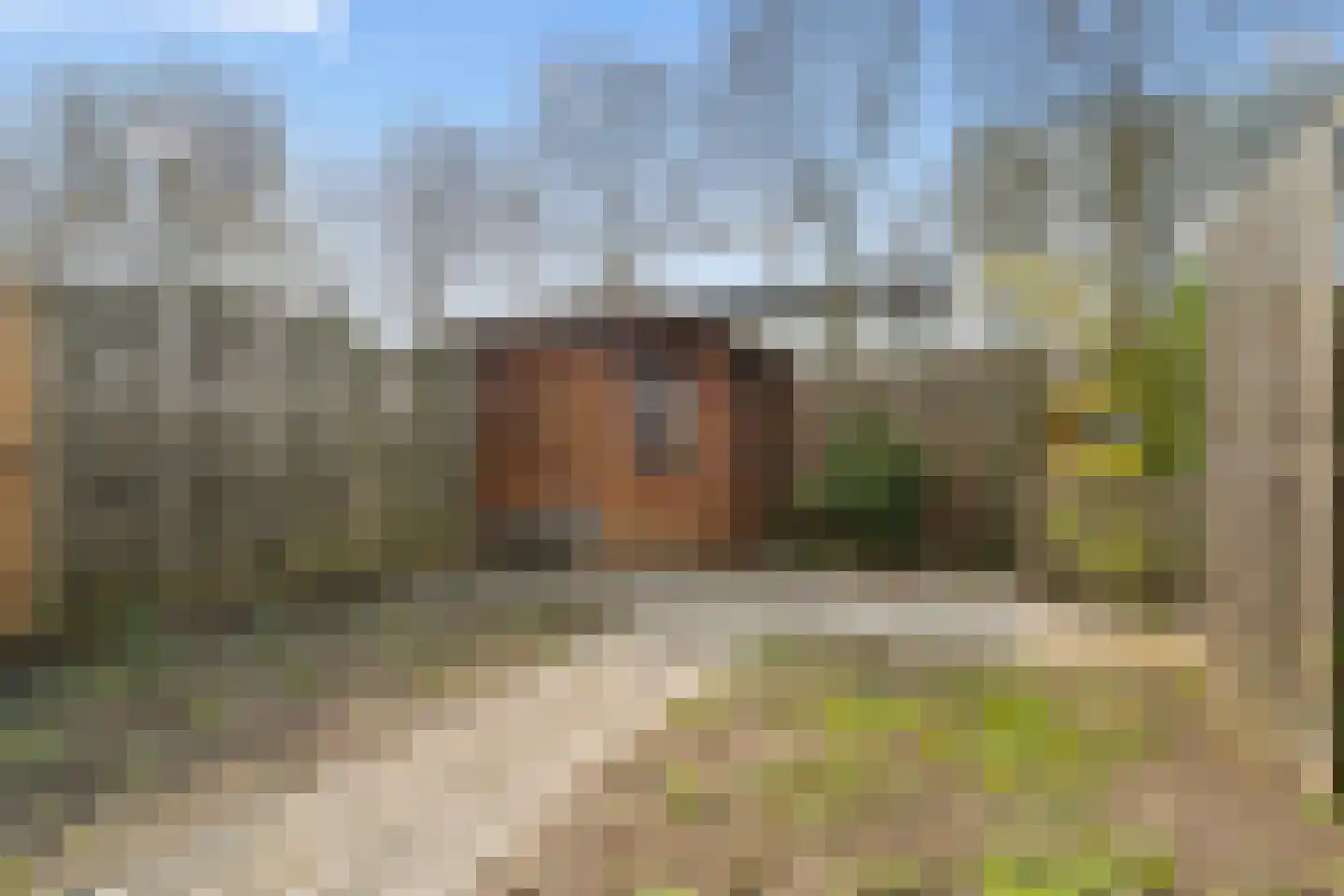 Koolmees 15 Nieuwegein thumbnail 32