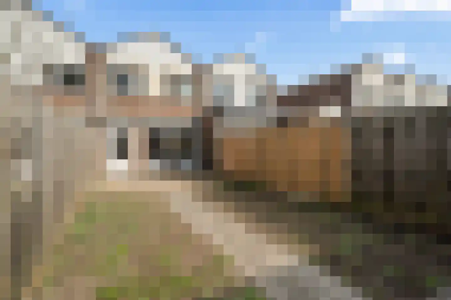 Koolmees 15 Nieuwegein thumbnail 34