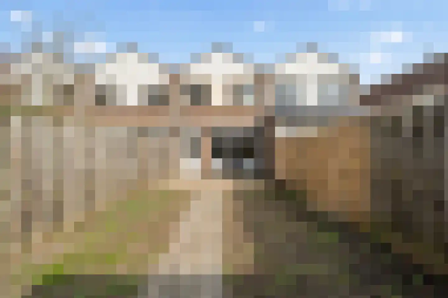 Koolmees 15 Nieuwegein thumbnail 35