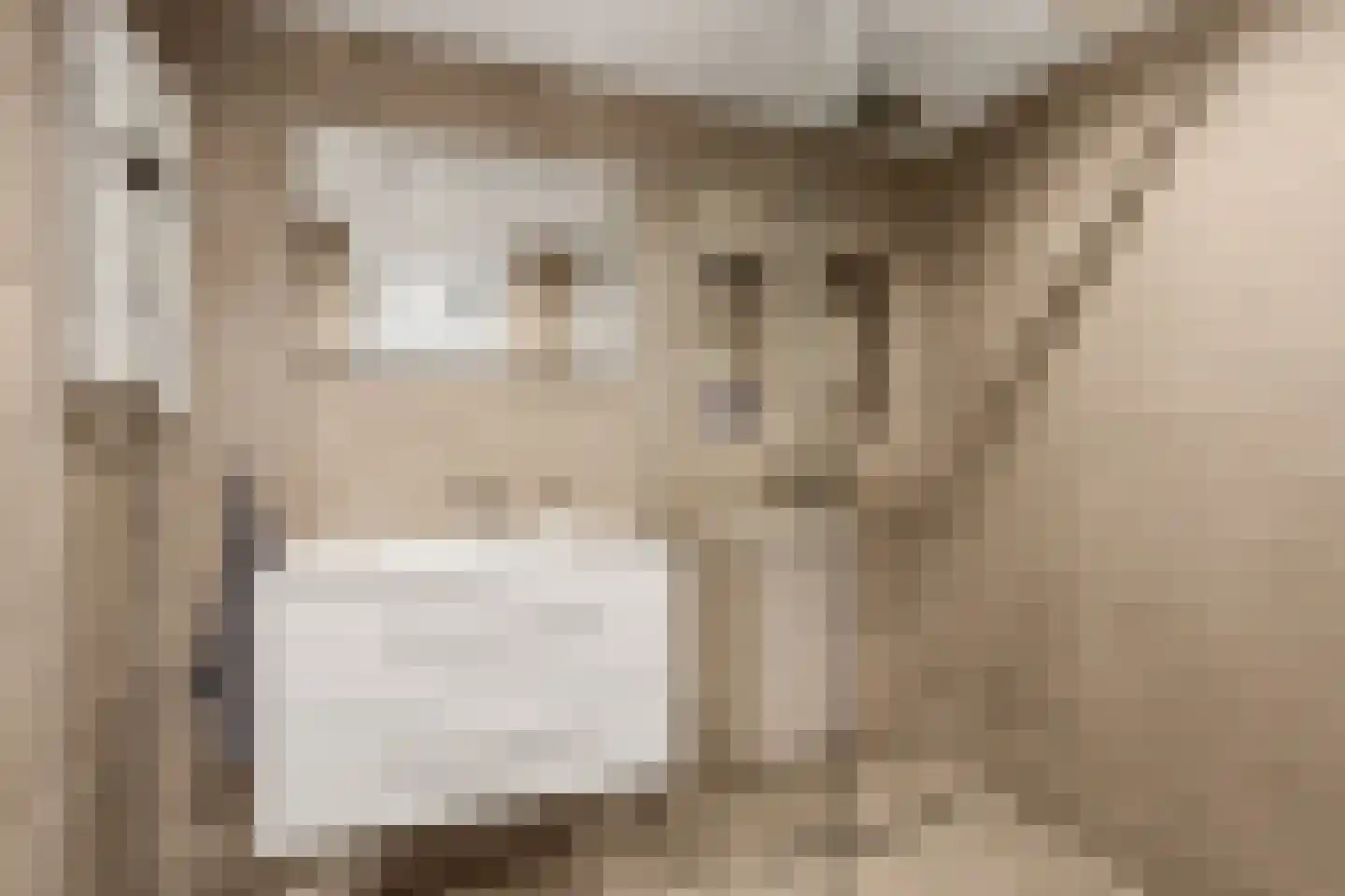 Koolmees 15 Nieuwegein thumbnail 4