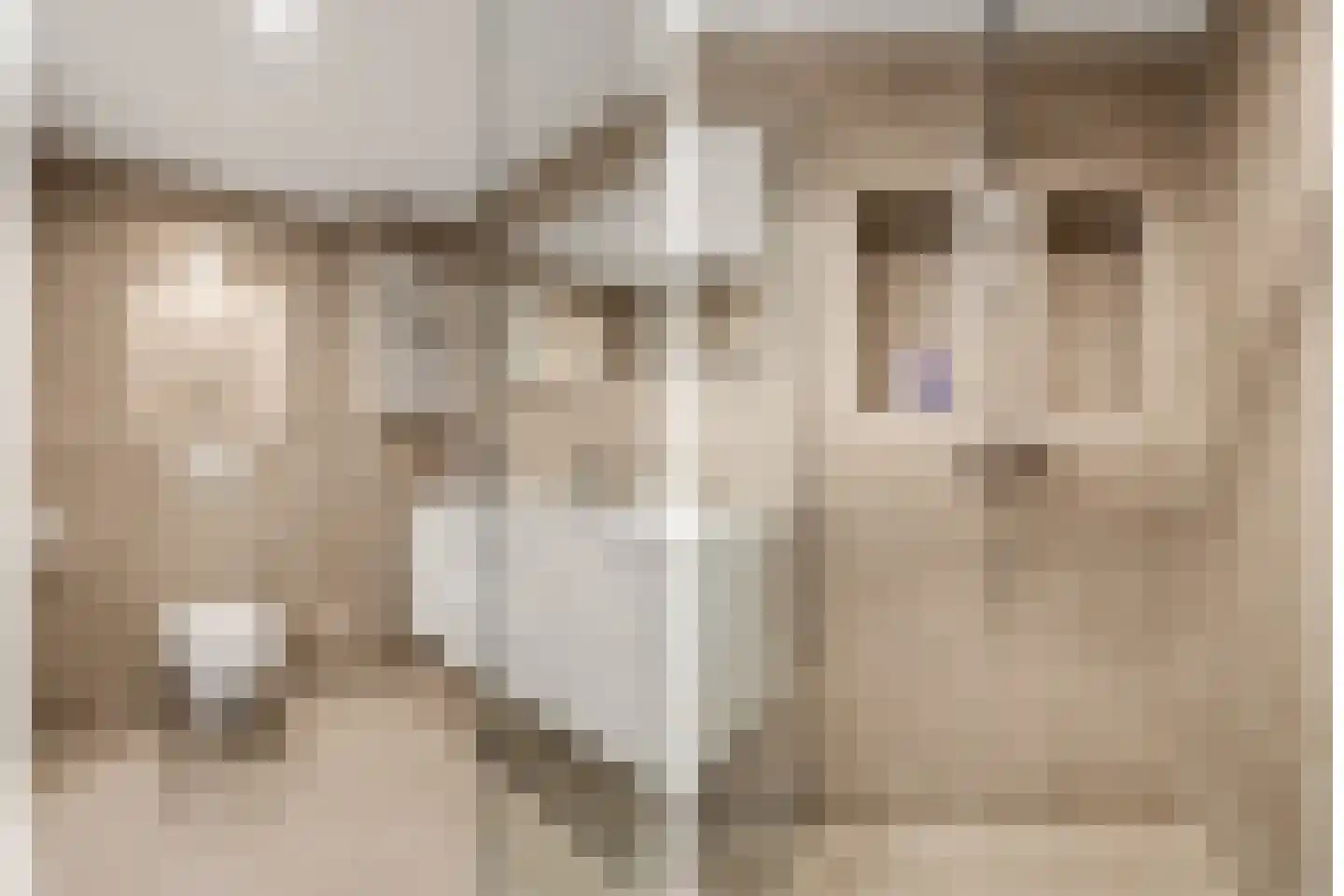 Koolmees 15 Nieuwegein thumbnail 48