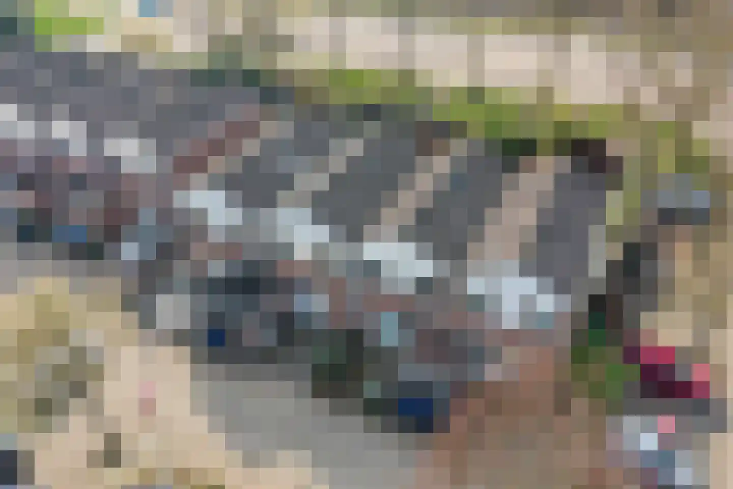 Koolmees 15 Nieuwegein thumbnail 50