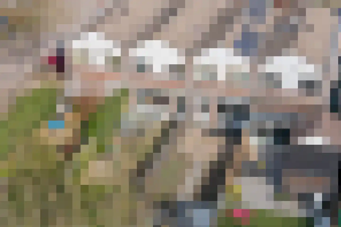 Koolmees 15 Nieuwegein thumbnail 52