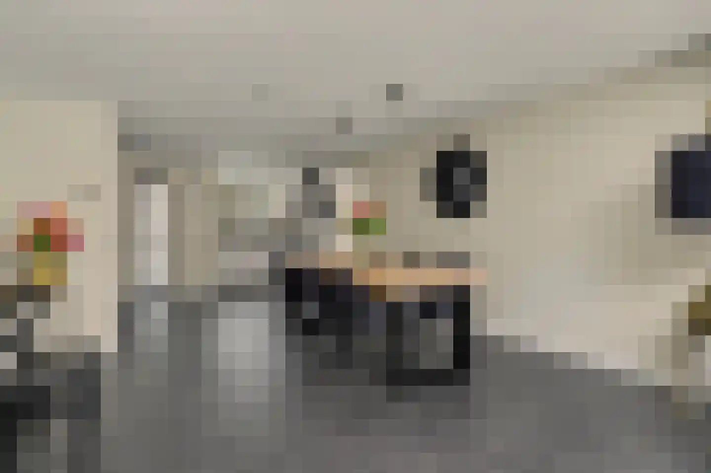 Koolmees 15 Sprang-Capelle thumbnail 11