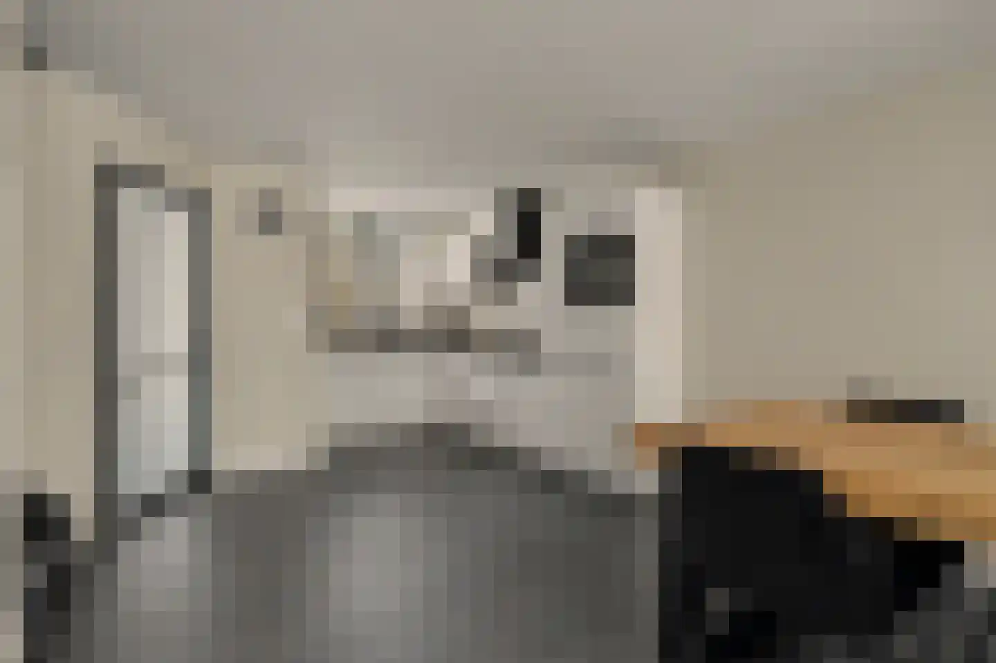 Koolmees 15 Sprang-Capelle thumbnail 14