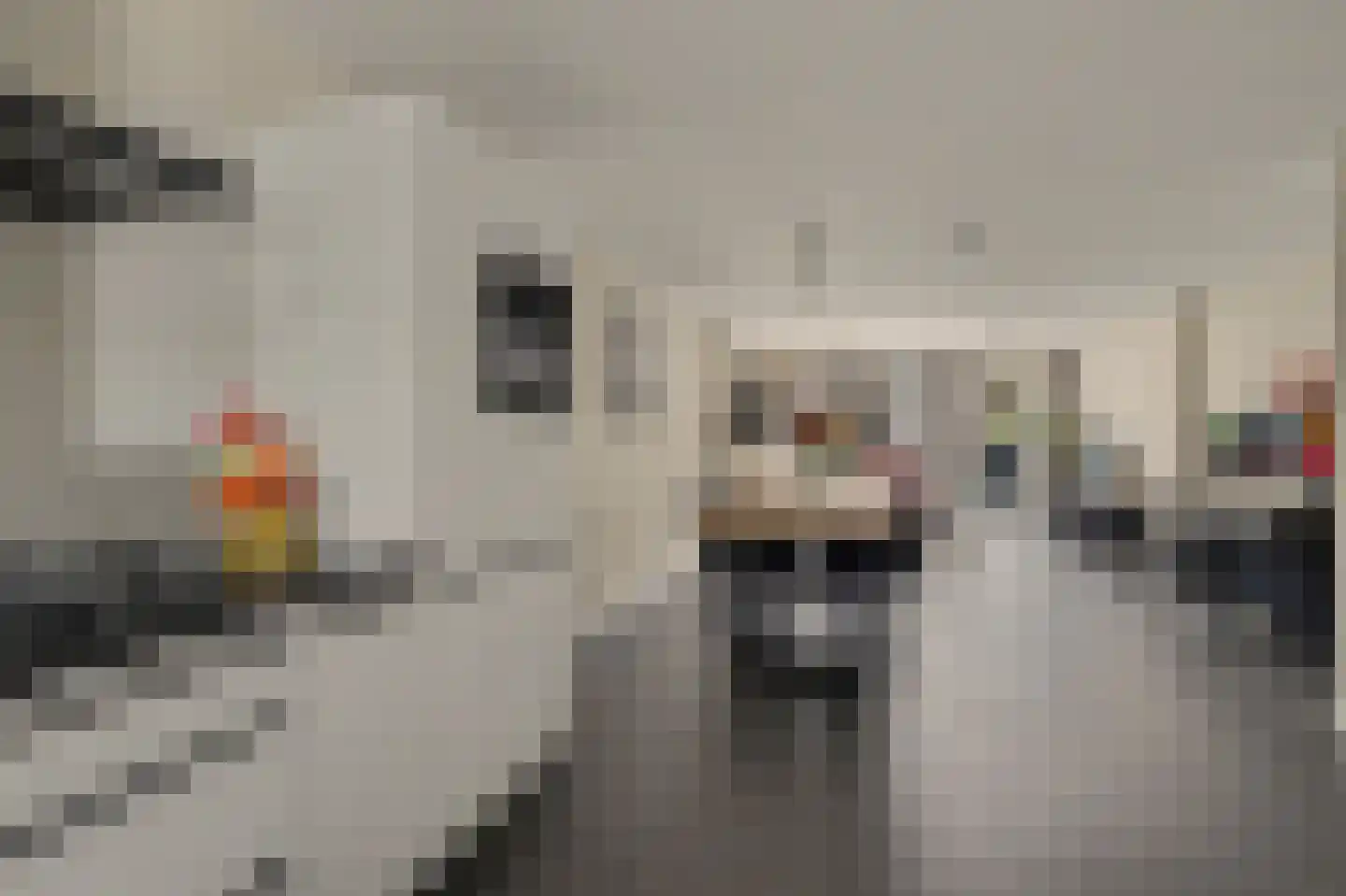 Koolmees 15 Sprang-Capelle thumbnail 15