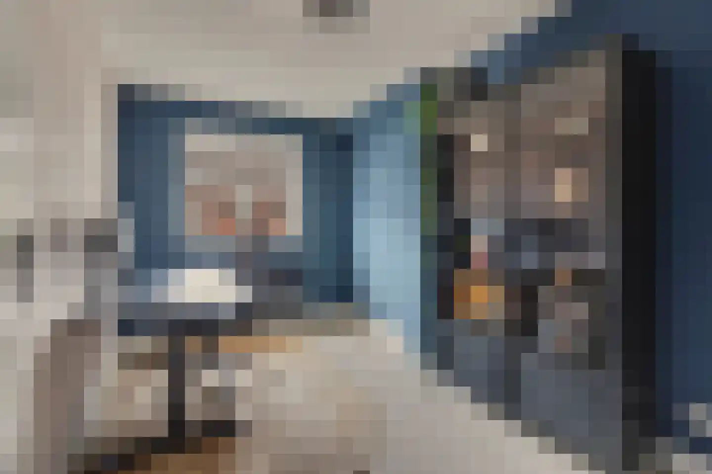 Koolmees 15 Sprang-Capelle thumbnail 16