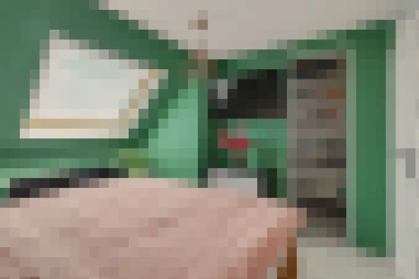Koolmees 15 Sprang-Capelle thumbnail 19