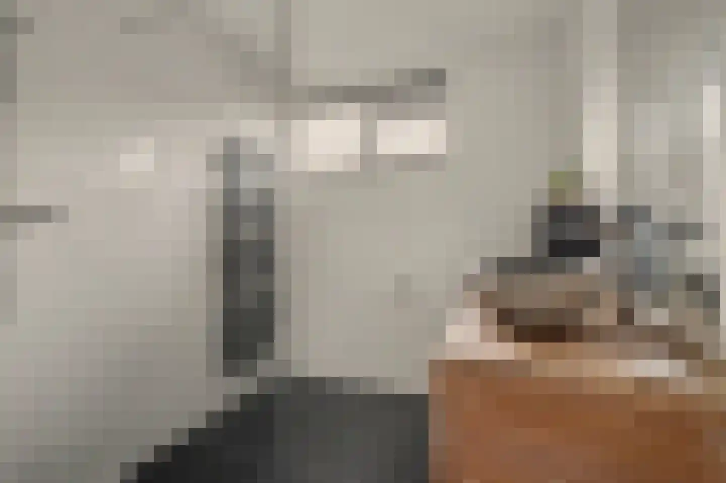 Koolmees 15 Sprang-Capelle thumbnail 20