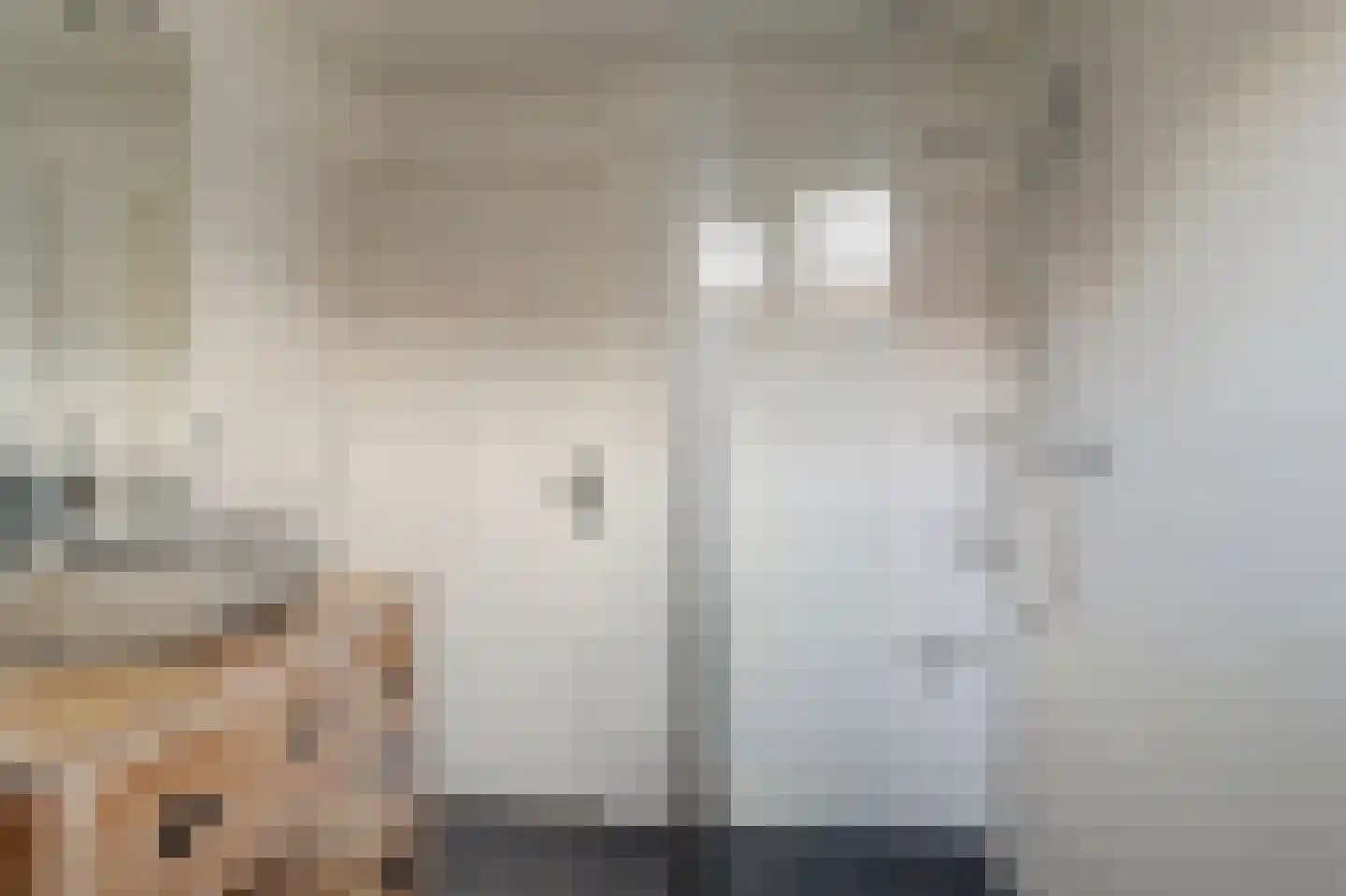 Koolmees 15 Sprang-Capelle thumbnail 21