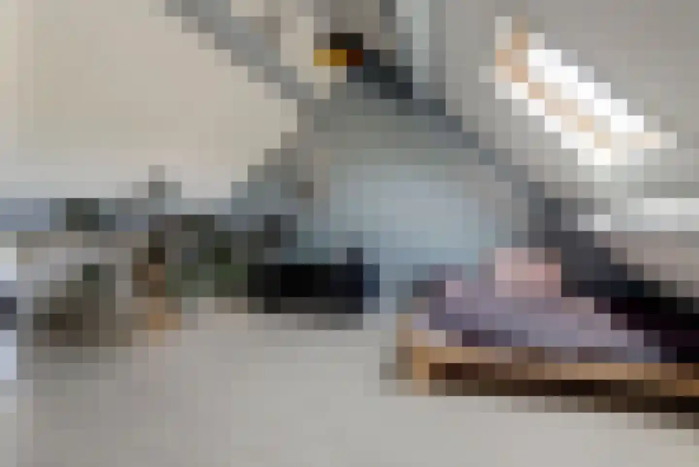 Koolmees 15 Sprang-Capelle thumbnail 23