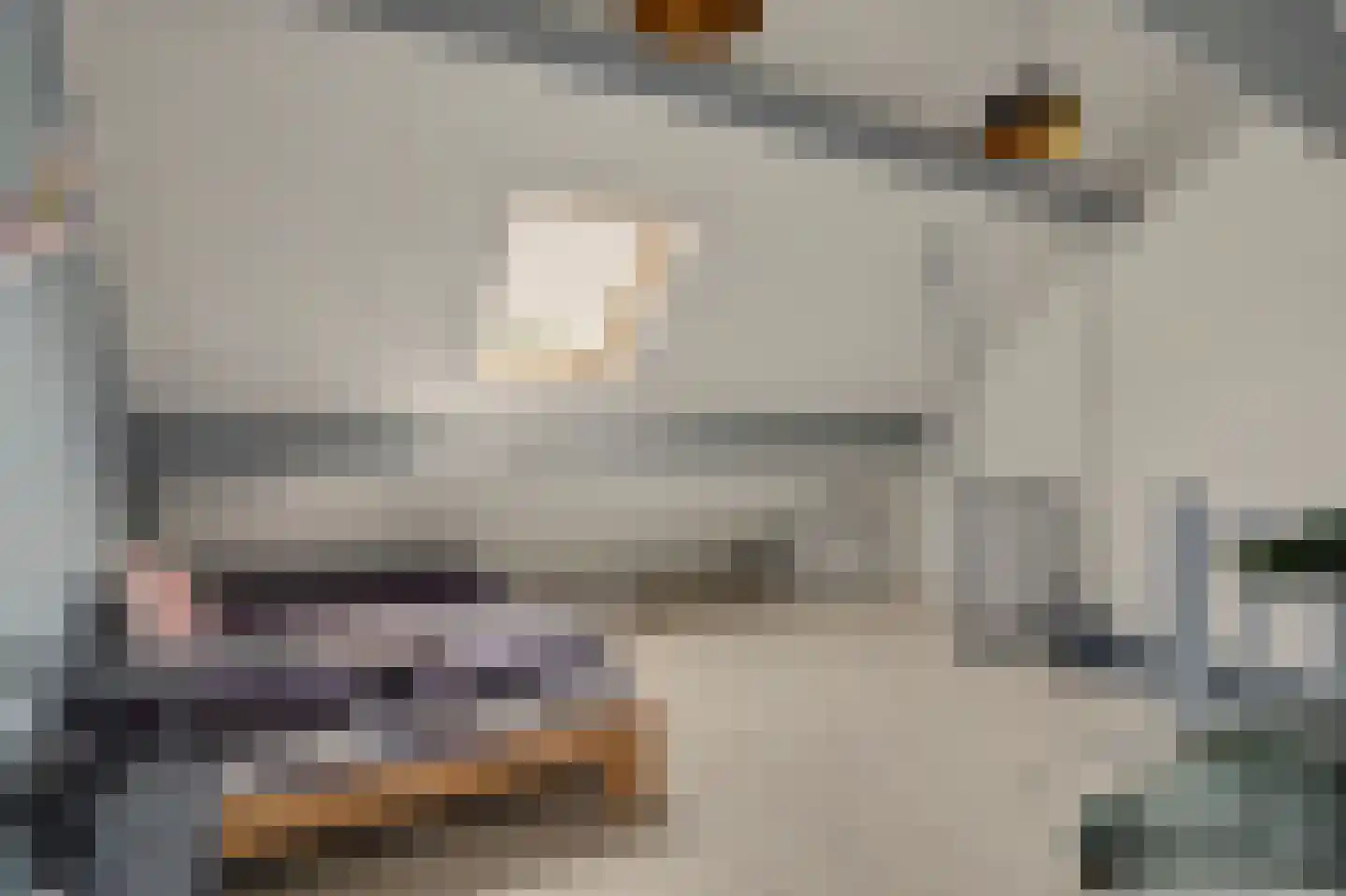 Koolmees 15 Sprang-Capelle thumbnail 24