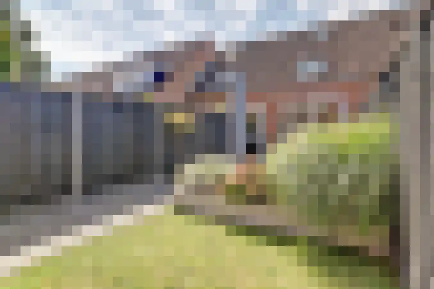 Koolmees 15 Sprang-Capelle thumbnail 25