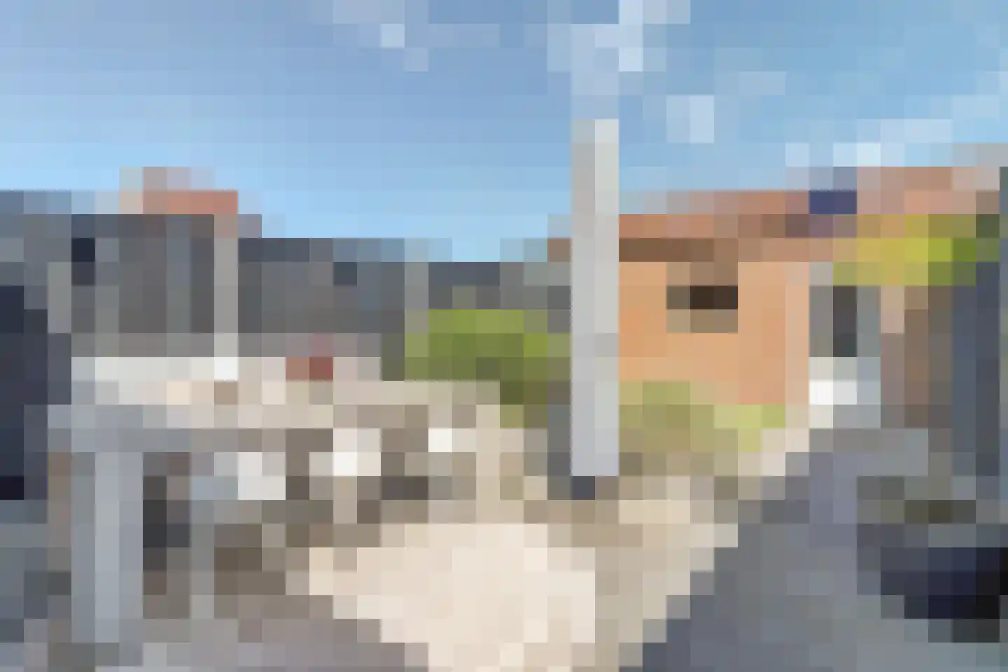 Koolmees 15 Sprang-Capelle thumbnail 26