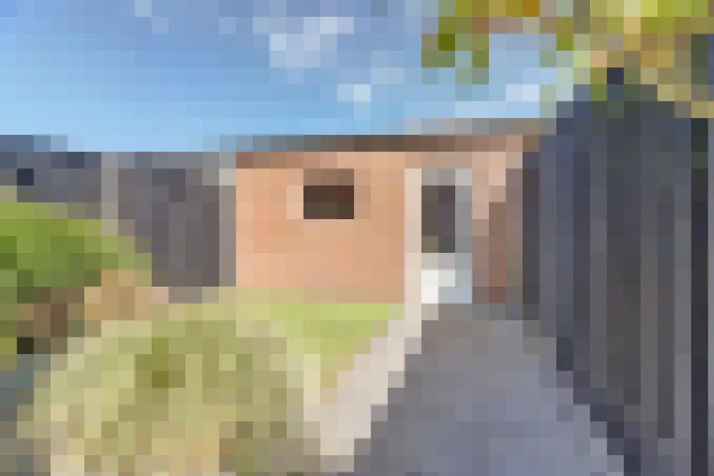 Koolmees 15 Sprang-Capelle thumbnail 27