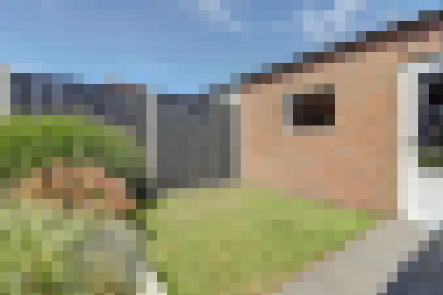 Koolmees 15 Sprang-Capelle thumbnail 28