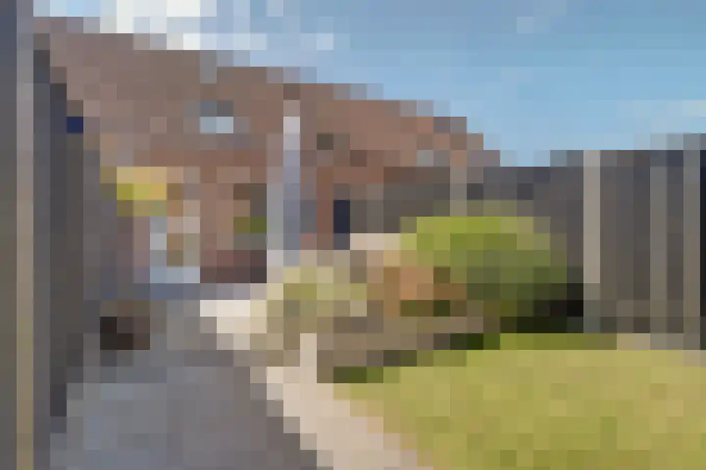 Koolmees 15 Sprang-Capelle thumbnail 5