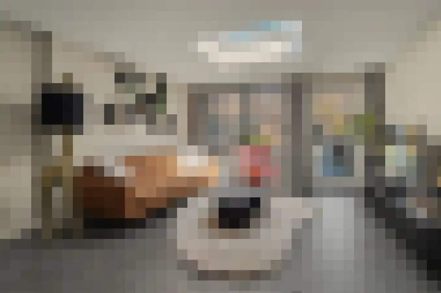 Koolmees 15 Sprang-Capelle thumbnail 8