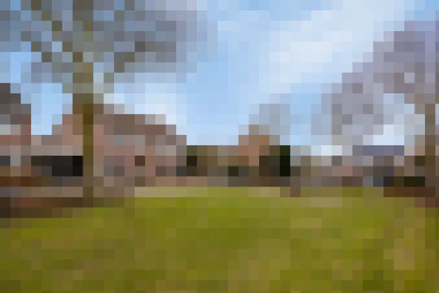 Koolmees 17 en Raalte