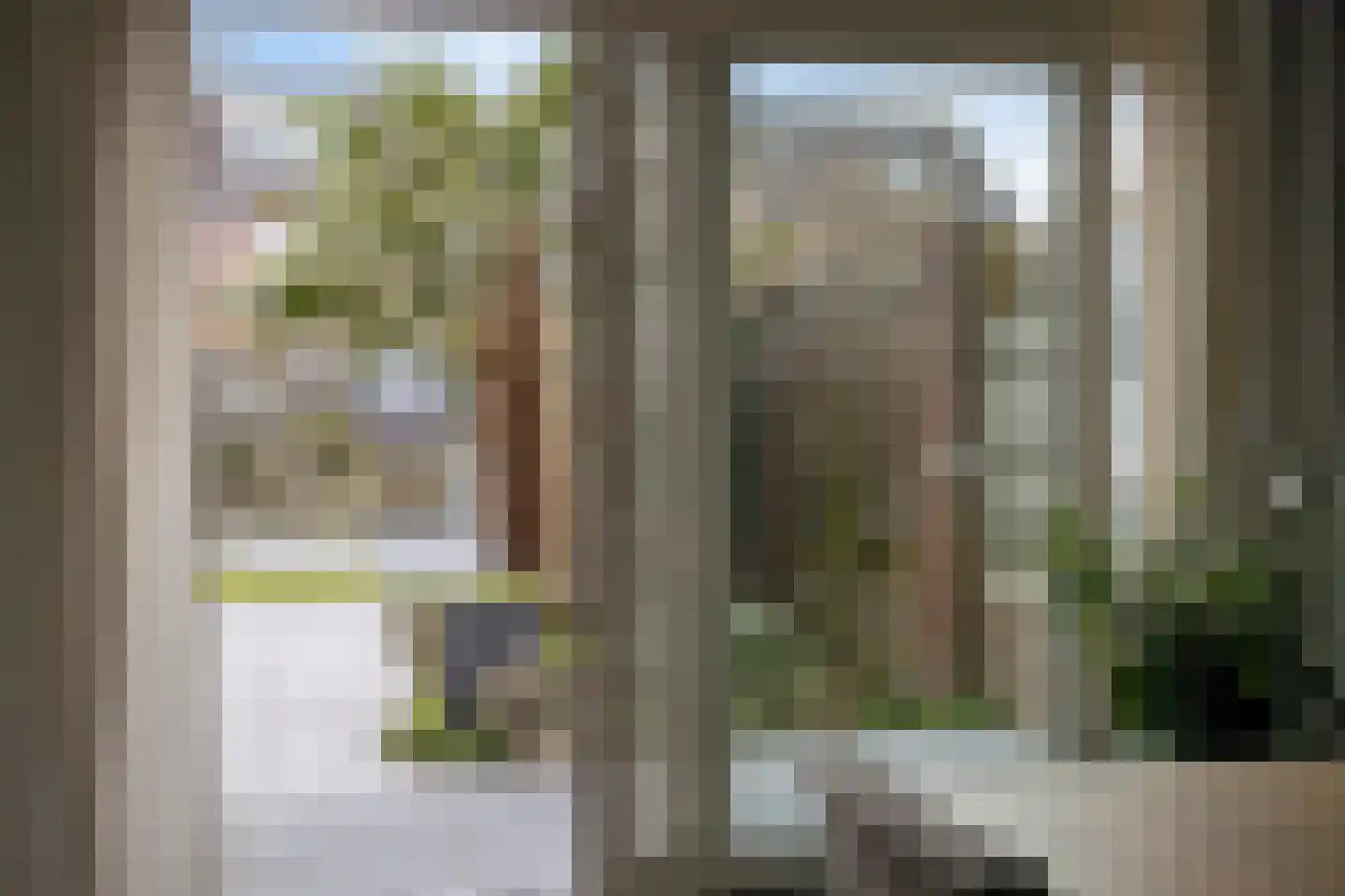 Koolmees 17 Raalte thumbnail 11