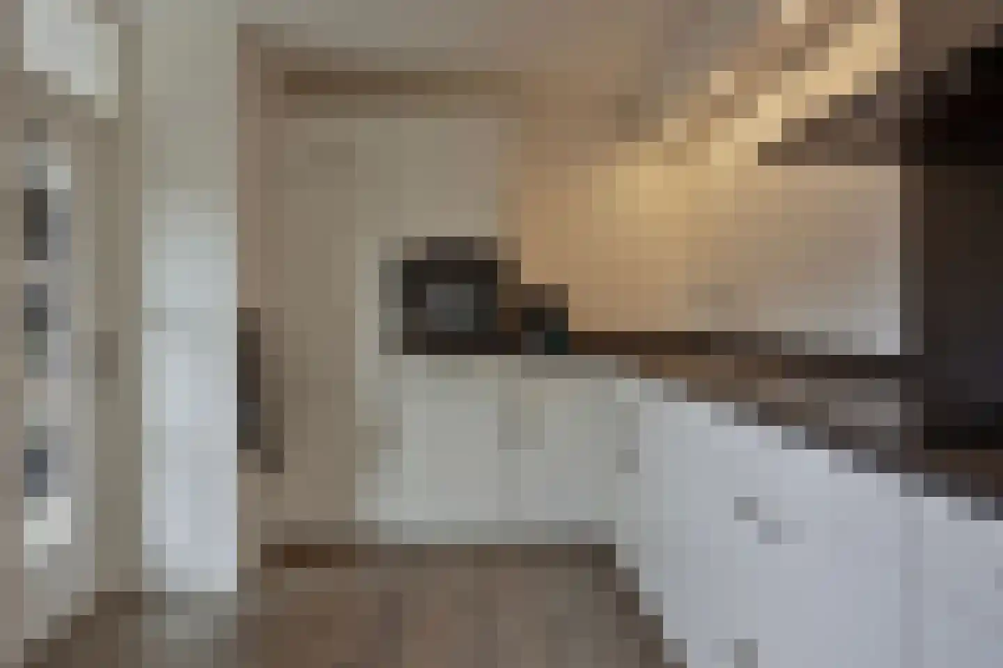 Koolmees 17 Raalte thumbnail 14