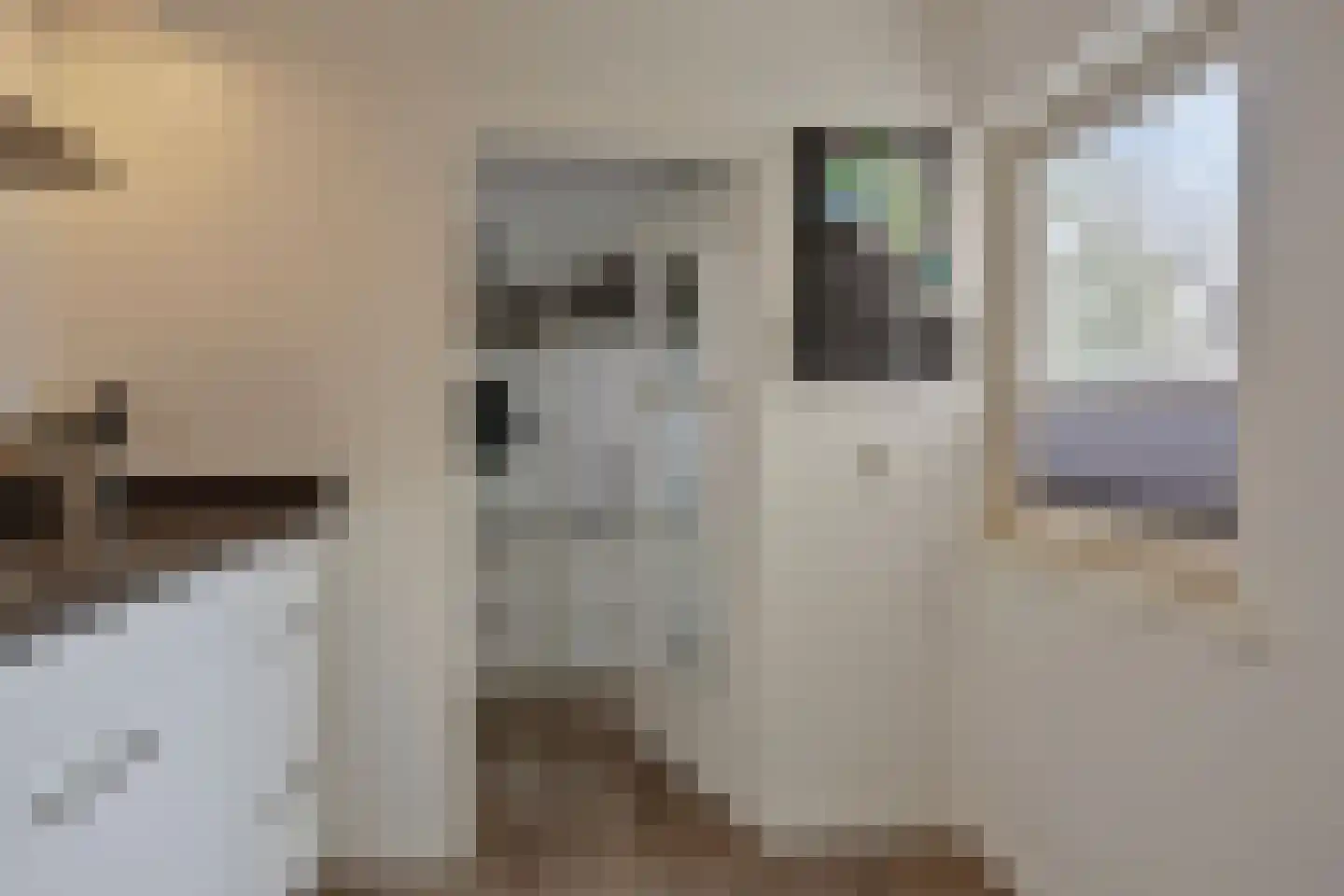 Koolmees 17 Raalte thumbnail 15