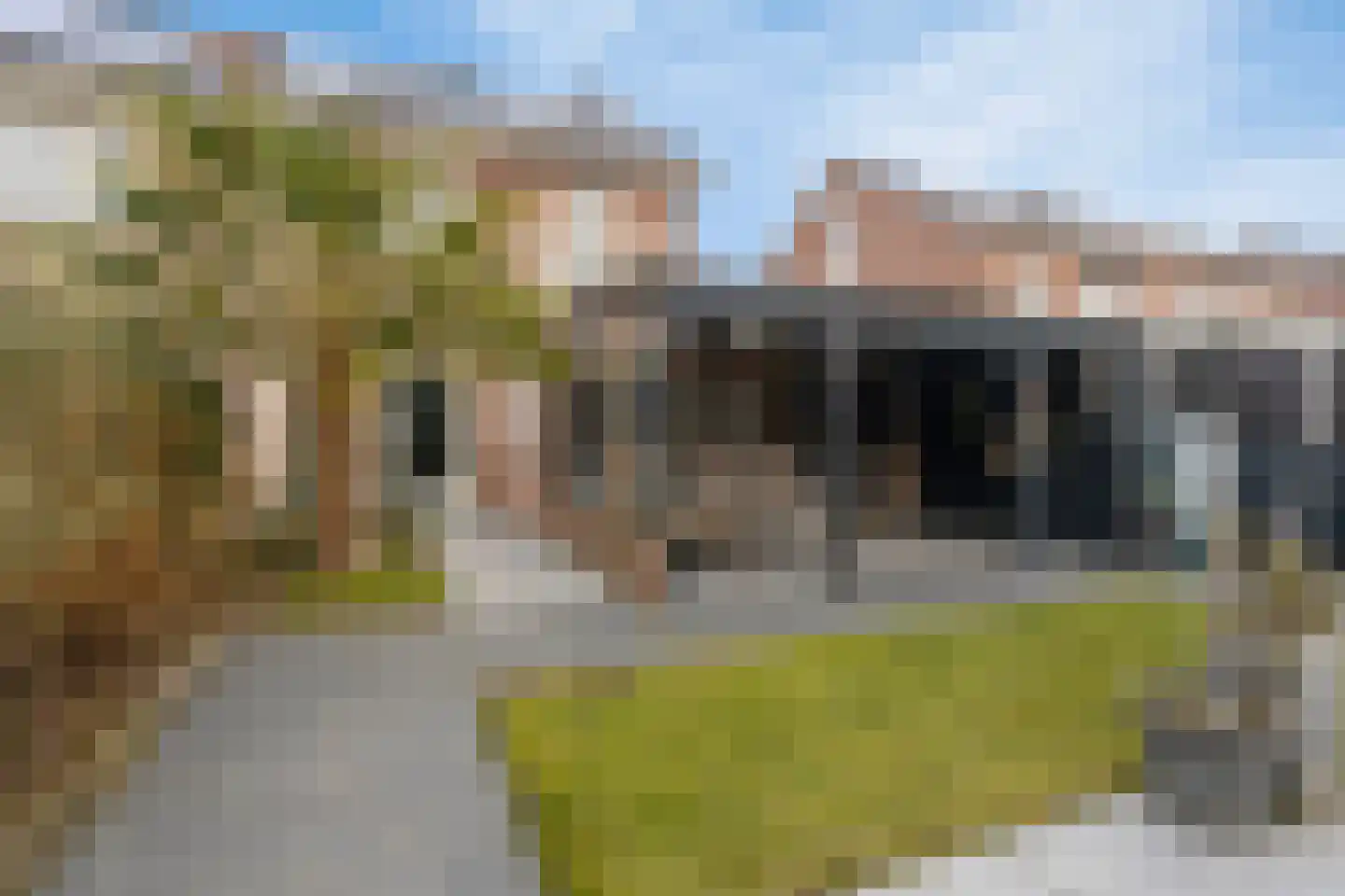 Koolmees 17 Raalte thumbnail 36