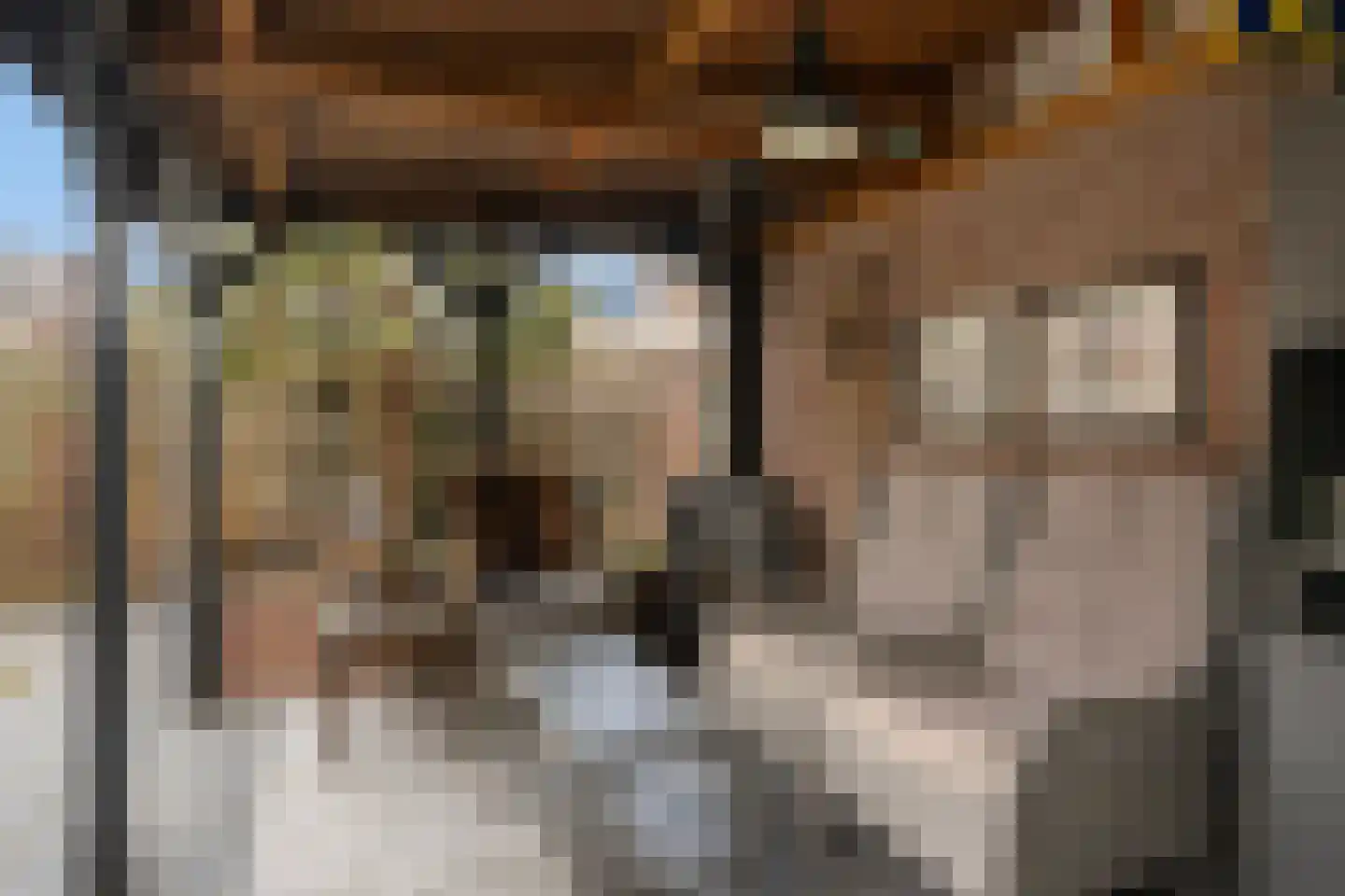 Koolmees 17 Raalte thumbnail 41