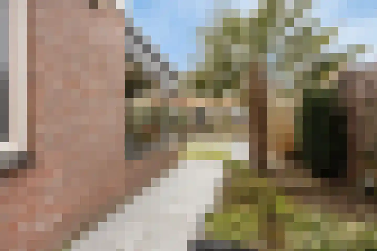 Koolmees 17 Raalte thumbnail 42