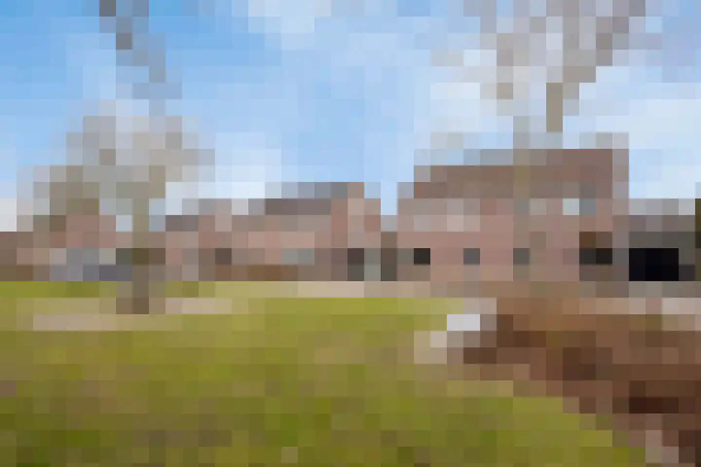 Koolmees 17 Raalte thumbnail 47
